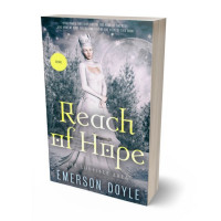 3D view of Premade Fantasy Book Cover - Oslo Gray