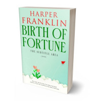 3D view of Premade Romance Book Cover - Granny Apple