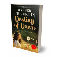 3D view of Premade Romance Book Cover - Rangoon Green