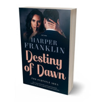 3D view of Premade Erotica Book Cover - Firefly