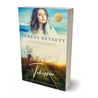 3D view of Premade Romance Book Cover - Outer Space