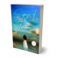 3D view of Premade Romance Book Cover - Boston Blue