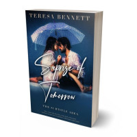 3D view of Premade Erotica Book Cover - Big Stone