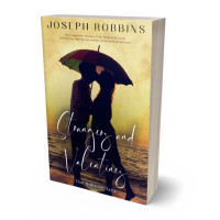 3D view of Premade Romance Book Cover - Calico