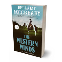 3D view of Premade Romance Book Cover - Hippie Blue