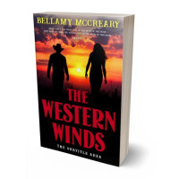 3D view of Premade Romance Book Cover - Gondola