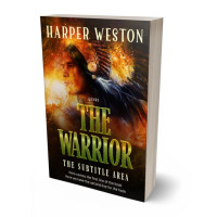 3D view of Premade Abstract Book Cover - Di Serria