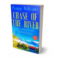 3D view of Premade Literary Fiction Book Cover - Confetti