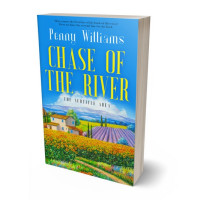 Tablet view of Sundance #12980 - Premade Literary Fiction Book Cover