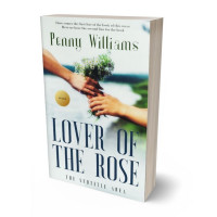 3D view of Premade Romance Book Cover - Outer Space