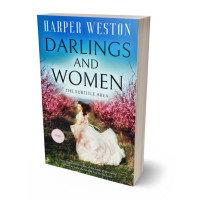 3D view of Premade Fantasy Book Cover - Swiss Coffee