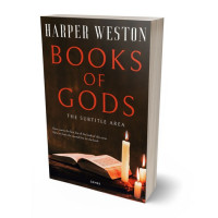 3D view of Eternity #13182 - Premade Religion & Spirituality Book Cover