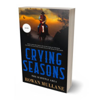 3D view of Premade Action & Adventure Book Cover - Brandy Punch