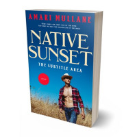 Tablet view of Tan #13295 - Premade Romance Book Cover