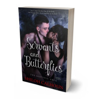 3D view of Premade Erotica Book Cover - Baltic Sea