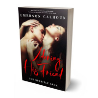 3D view of Premade Erotica Book Cover - Gondola