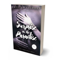 3D view of Premade Erotica Book Cover - Baltic Sea