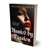 3D view of Premade Erotica Book Cover - Night Rider