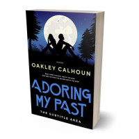 3D view of Premade Romance Book Cover - White Rock