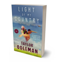 3D view of Lynch #13628 - Premade Fantasy Book Cover