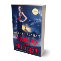 3D view of Premade Romance Book Cover - Cloud Burst