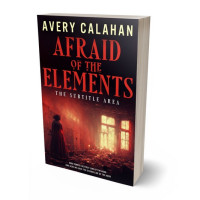 3D view of Premade Horror Book Cover - Coffee Bean