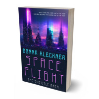 3D view of Premade Science Fiction Book Cover - Big Stone