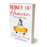 3D view of Premade Romance Book Cover - Wild Sand