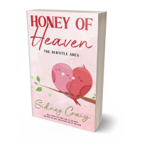 Tablet view of Carousel Pink #13970 - Premade Romance Book Cover