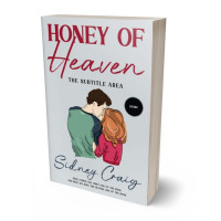 3D view of Premade Romance Book Cover - Iron