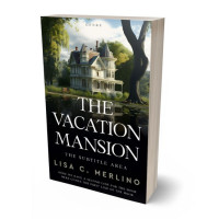 3D view of Premade Literary Fiction Book Cover - Foggy Gray