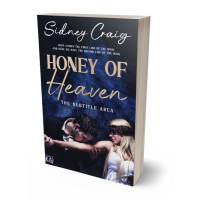 3D view of Premade Erotica Book Cover - Mirage