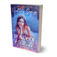 3D view of Premade Fantasy Book Cover - Wild Blue Yonder