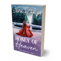 3D view of Premade Fantasy Book Cover - Storm Gray