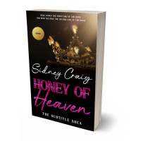 Tablet view of Contessa #14249 - Premade Fantasy Book Cover