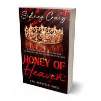 Tablet view of Terracotta #14250 - Premade Fantasy Book Cover