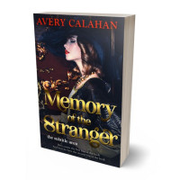 3D view of Premade Historical Book Cover - Baltic Sea