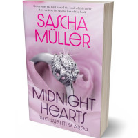 3D view of Premade Romance Book Cover - Maverick