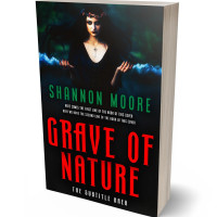 3D view of Premade Fantasy Book Cover - Woodsmoke