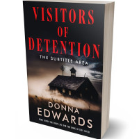 3D view of Premade Horror Book Cover - My Pink