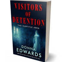 3D view of Premade Horror Book Cover - Black Pearl