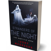 3D view of Premade Horror Book Cover - Steel Gray