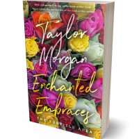 3D view of Premade Romance Book Cover - Spicy Mix