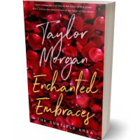 3D view of Premade Romance Book Cover - Dark Burgundy