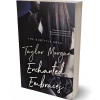 3D view of Premade Erotica Book Cover - Thunder