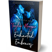 Tablet view of Firefly #14864 - Premade Erotica Book Cover