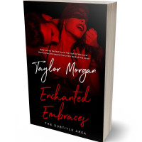 3D view of Premade Erotica Book Cover - Roof Terracotta