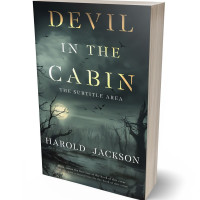 3D view of Premade Horror Book Cover - Cape Cod