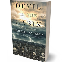 Tablet view of Cape Cod #14920 - Premade Horror Book Cover