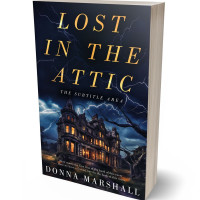 3D view of Premade Mystery & Thriller & Suspense Book Cover - Mirage